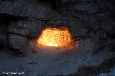 צלם: יותם יעקבסון